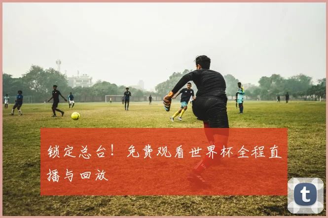 锁定总台!免费观看世界杯全程直播与回放